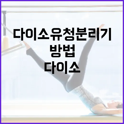 다이소 유청분리기를 활용하여 신선한 두부 만드는 방법 - 요약