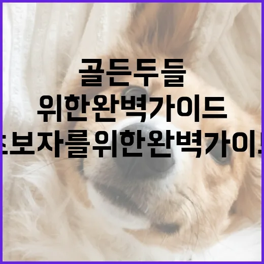 골든두들을 키우는 방법: 초보자를 위한 완벽 가이드 - 요약