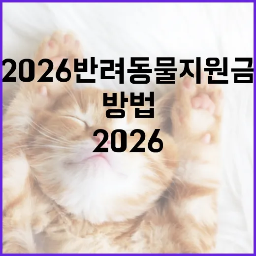 2026 반려동물 지원금을 활용하는 방법 - 요약
