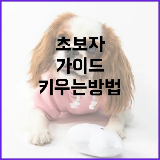 말티푸를 키우는 방법: 초보자를 위한 완벽 가이드 - 요약