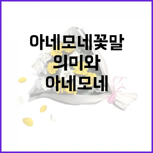 아네모네 꽃말을 아는 방법: 다양한 색상의 의미와 활용법 - 요약