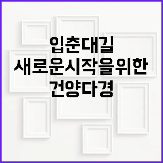 입춘대길 건양다경: 새로운 시작을 위한 준비 방법 - 요약
