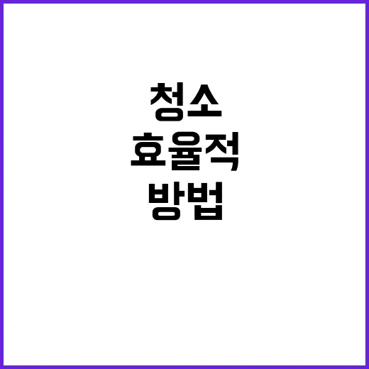 효율적으로 집안을 …