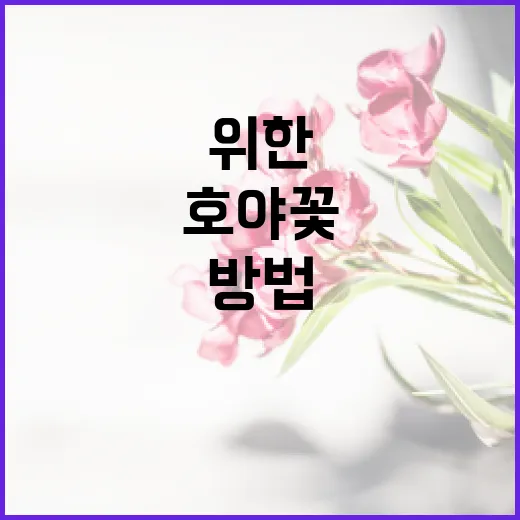 호야꽃 키우는 방법: 초보자를 위한 간단 가이드 - 요약