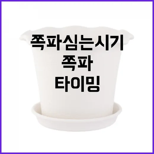 쪽파 심는 시기: 최적의 타이밍을 잡는 법 - 요약