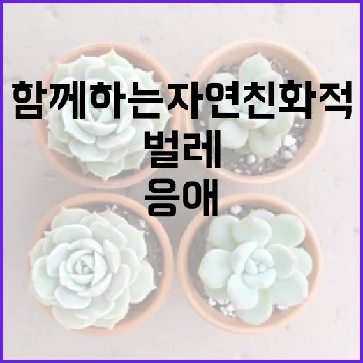 응애벌레와 함께하는 자연 친화적인 삶 - 요약