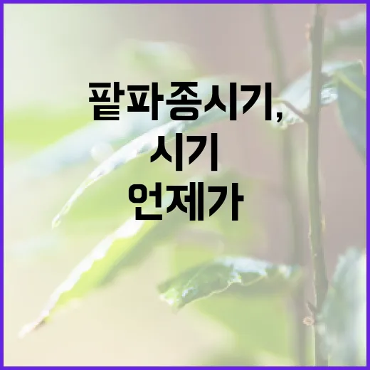 팥 파종시기, 언제가 가장 좋을까? - 요약
