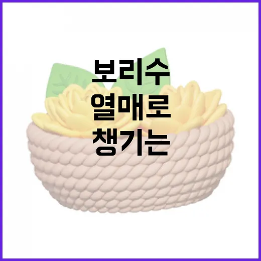 보리수열매로 건강을 챙기는 방법 - 요약