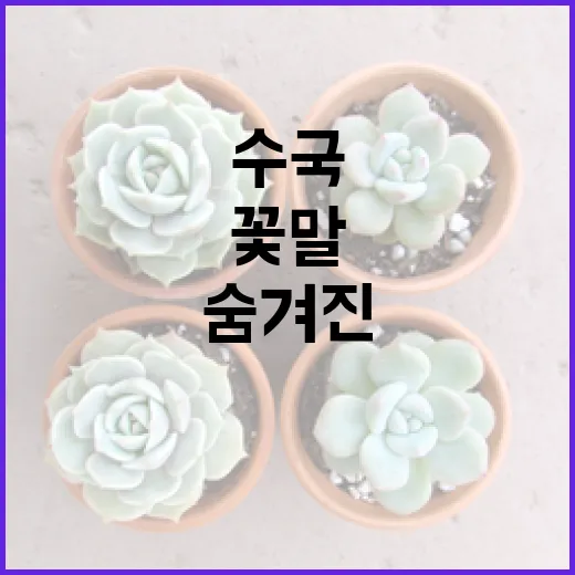 수국의 매력적인 꽃말과 숨겨진 이야기들 - 요약