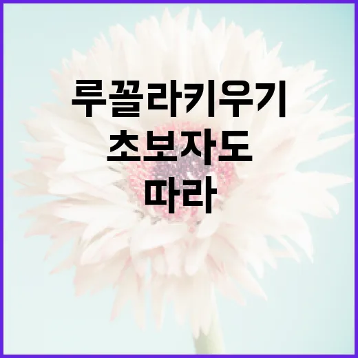 루꼴라 키우기: 초보자도 쉽게 따라 할 수 있는 방법 - 요약