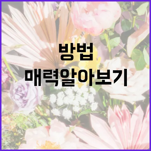월하향 꽃을 잘 키우는 방법과 매력 알아보기 - 요약