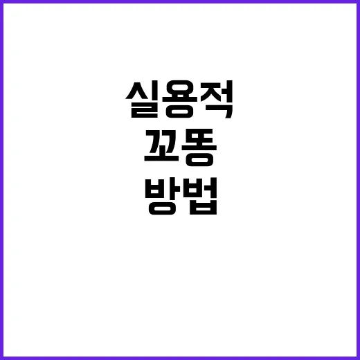 꼬똥, 일상 속에서 실용적으로 활용하는 방법 - 요약