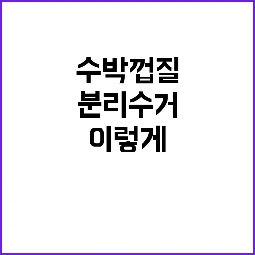 수박껍질, 이렇게 분리수거하면 끝! - 요약