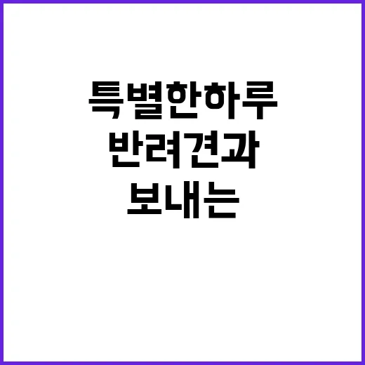 파주에서 개카페 즐기기: 반려견과 특별한 하루 보내는 방법 - 요약