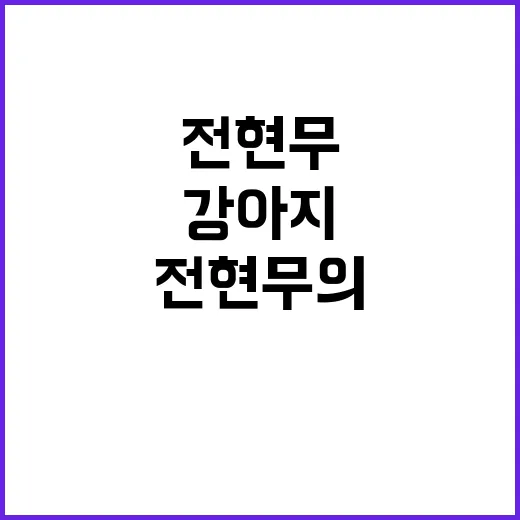 전현무의 강아지와 행복한 생활을 위한 팁 - 요약