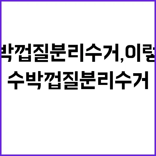 수박껍질 분리수거, 이렇게 쉬울 줄이야! - 요약