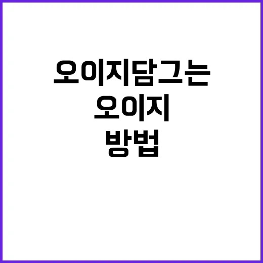 아삭아삭한 오이지 담그는 방법, 이젠 어렵지 않아요 - 요약