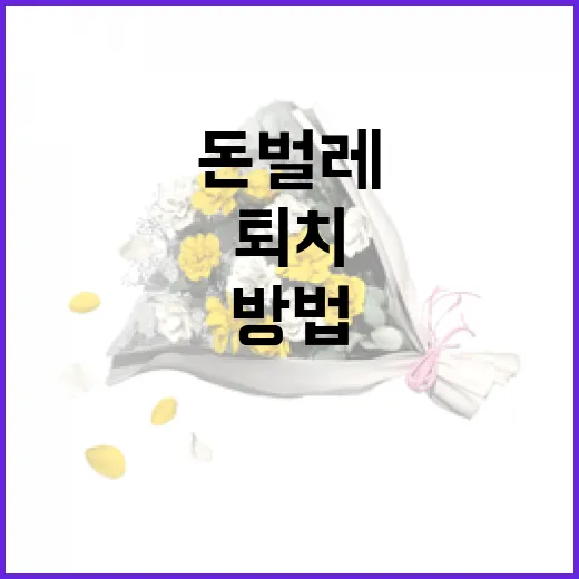 돈벌레와 친구 되는 법: 자연스럽게 퇴치하는 방법 - 요약