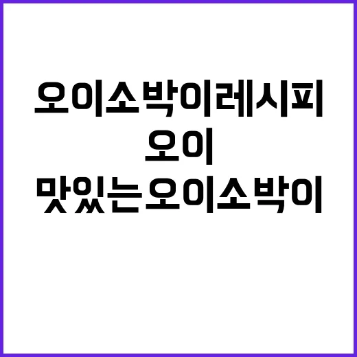 쉽고 맛있는 오이소박이 레시피: 집에서 쉽게 따라하기 - 요약