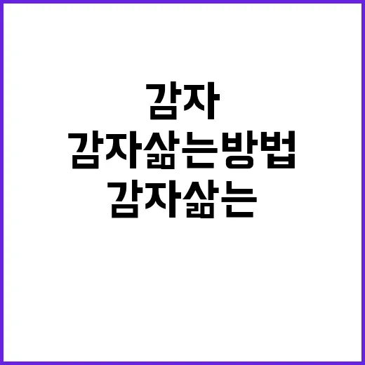 배우면 쉬운 감자 삶는 방법! 누구나 따라 할 수 있어요 - 요약