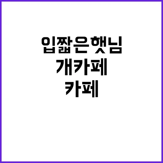 입짧은햇님과 함께하는 개카페 탐방, 이렇게 즐겨보세요! - 요약