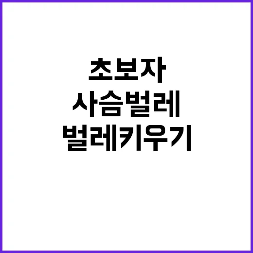 초보자를 위한 사슴벌레 키우기: 재미있고 유익한 취미 - 요약