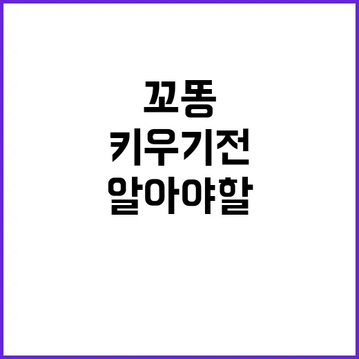 꼬똥, 반려견으로 키우기 전 알아야 할 것들 - 요약