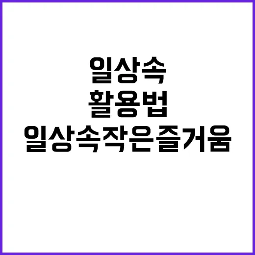 메가심포니아 힛카드 활용법: 일상 속 작은 즐거움 찾기 - 요약