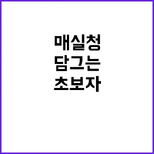 매실청 담그는 방법: 초보자를 위한 쉬운 가이드 - 요약