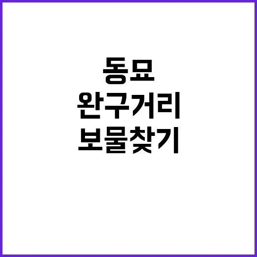 동묘 완구거리에서 보물 찾기: 초보자를 위한 꿀팁 - 요약