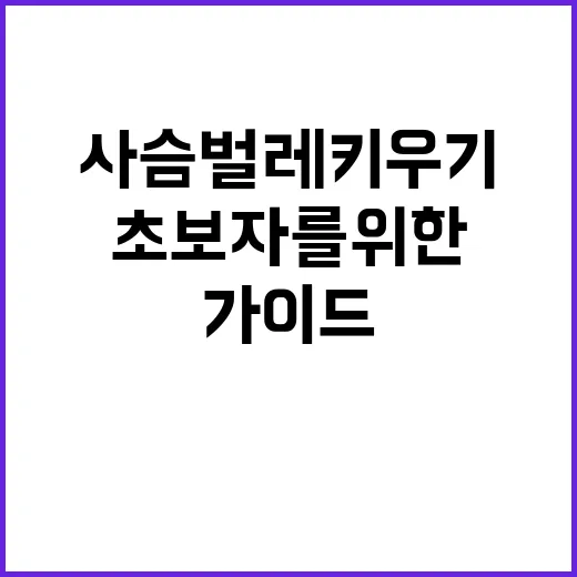 사슴벌레 키우기: 초보자를 위한 시작 가이드 - 요약