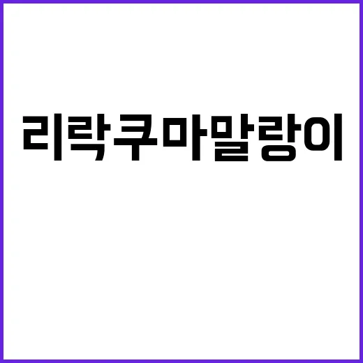 리락쿠마 말랑이로 스트레스 해소하는 방법 - 요약