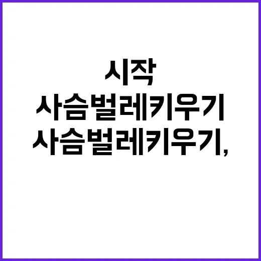 사슴벌레 키우기, 이렇게 시작해보세요! - 요약