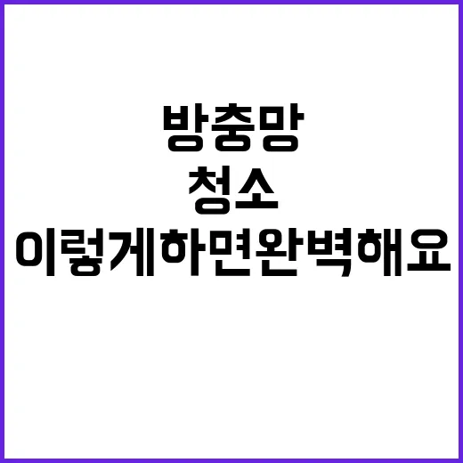 방충망 청소, 이렇게 하면 완벽해요! - 요약