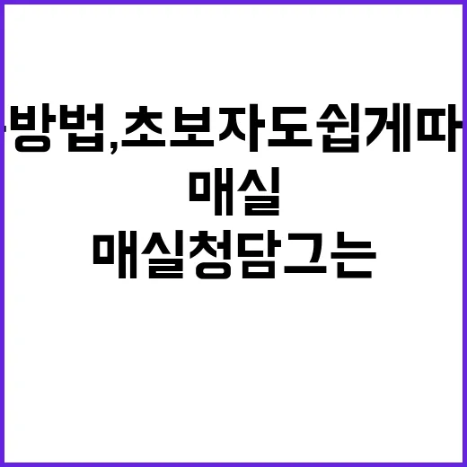매실청 담그는 방법, 초보자도 쉽게 따라하기! - 요약