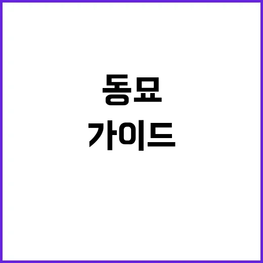 동묘 말랑이를 만나는 방법: 초보자 가이드 - 요약