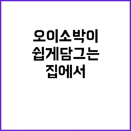 오이소박이, 집에서 쉽게 담그는 방법! - 요약
