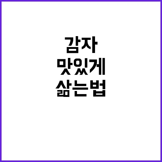 맛있는 감자 삶는 법, 제대로 알고 맛있게! - 요약