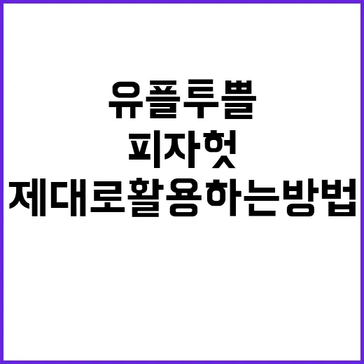 피자헛 유플투쁠 제대로 활용하는 방법 - 요약