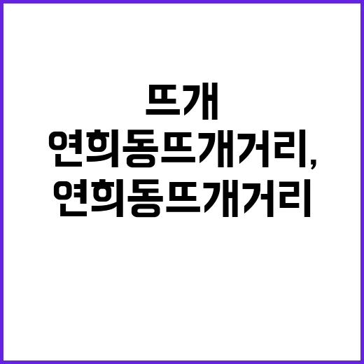 연희동 뜨개거리, 초보자도 푹 빠질 수밖에 없는 이유 - 요약