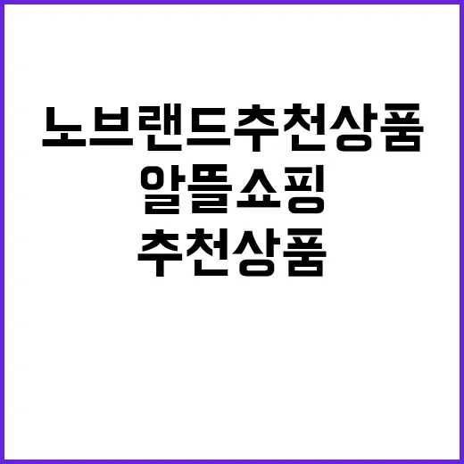노브랜드 추천상품: 알뜰 쇼핑의 시작 - 요약
