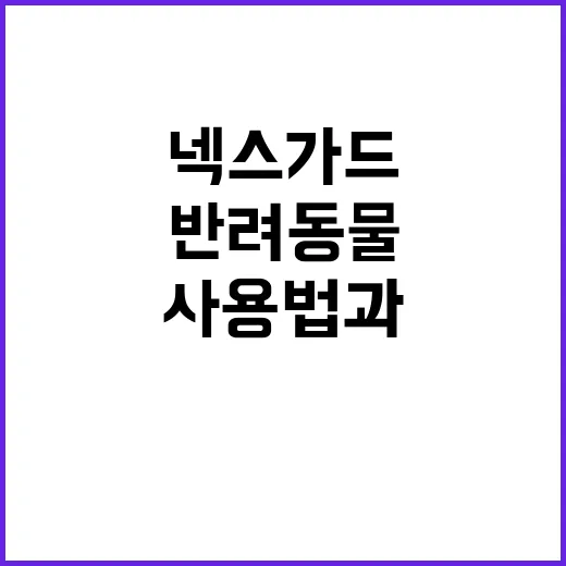 반려동물을 위한 넥스가드 사용법과 팁 - 요약