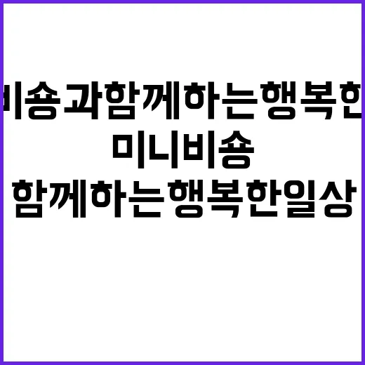 미니비숑과 함께하는 행복한 일상 만들기 - 요약