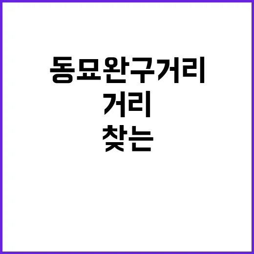 동묘 완구거리에서 보물 찾는 방법 - 요약