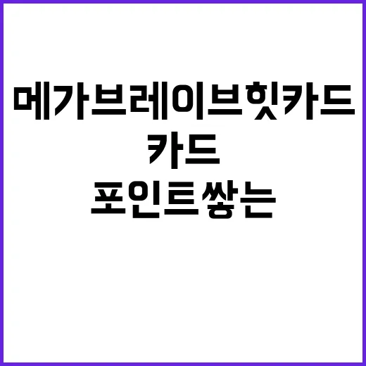 메가브레이브 힛카드로 스마트하게 포인트 쌓는 방법 - 요약