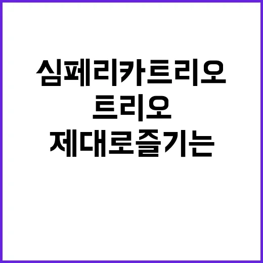심페리카 트리오 제대로 즐기는 법 - 요약