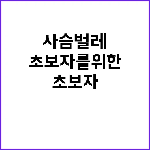 초보자를 위한 사슴벌레 키우는 방법 - 요약