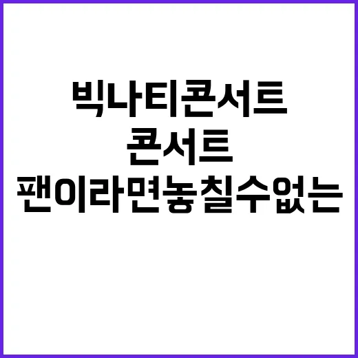 빅나티 콘서트 즐기는 방법: 팬이라면 놓칠 수 없는 순간들 - 요약