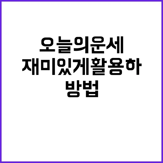 오늘의운세 보는 방법, 재미있게 활용하기 - 요약
