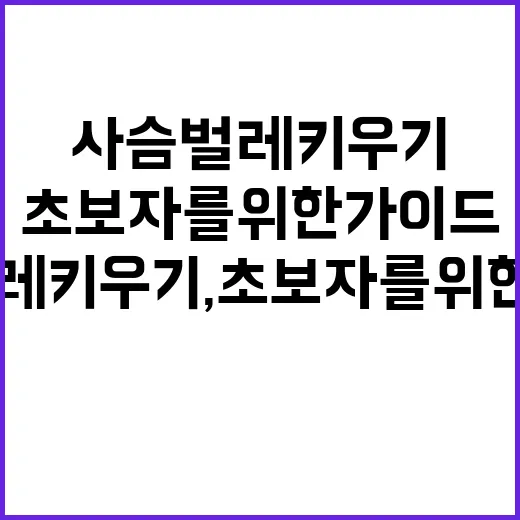 사슴벌레 키우기, 초보자를 위한 가이드 - 요약